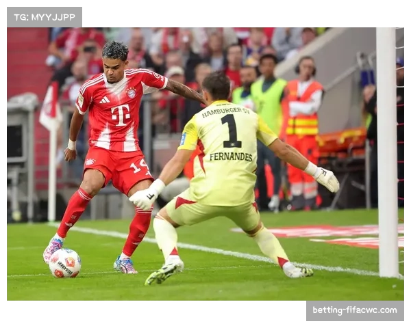 汉堡反击效率处于德甲中游水准 边路速度优势未能完全发挥